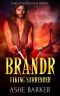 [Viking Surrender 02] • Brandr · A Viking Warrior Romance (Viking Surrender Book 2)